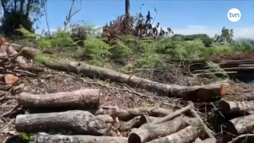 Más de 500 denuncias se presentan ante el MiAmbiente