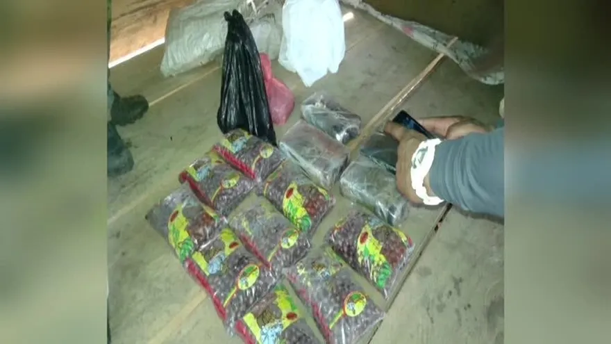 Autoridades decomisan 'narcoporotos' en Darién