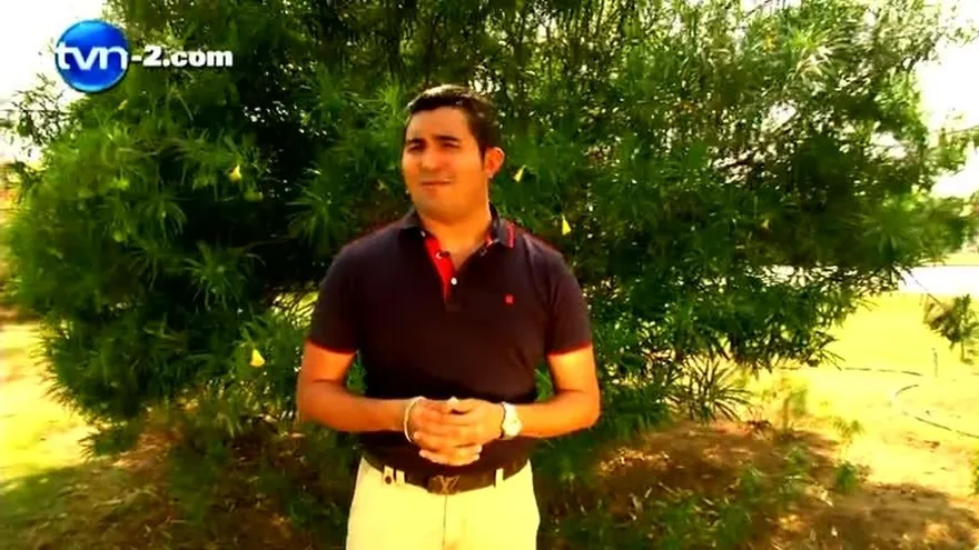 EL MIRTO PARA LOS PULMONES