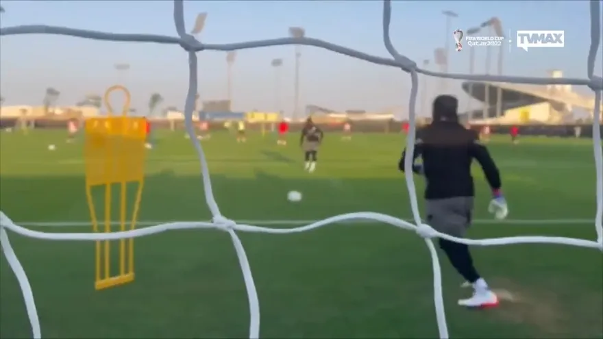 Informe Catar - Analizamos los grupos C y D