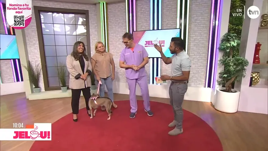 Tío Knino: derechos de los animales