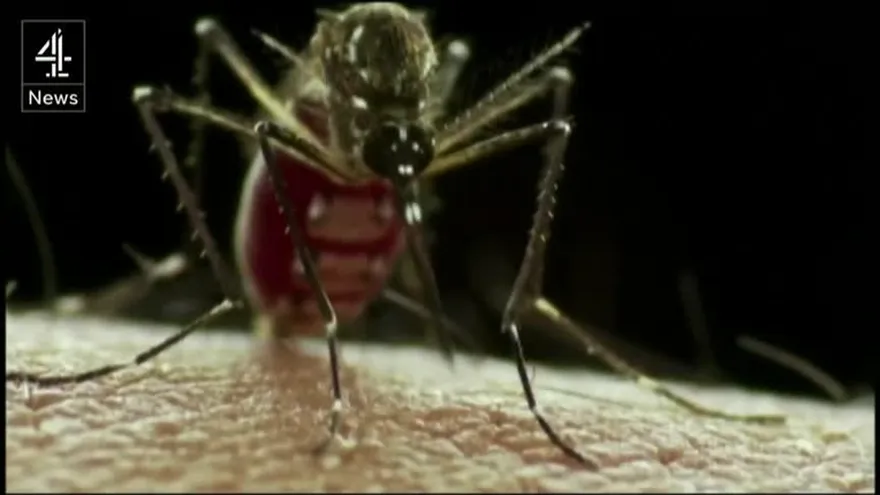 Preocupa aumento de casos de zika