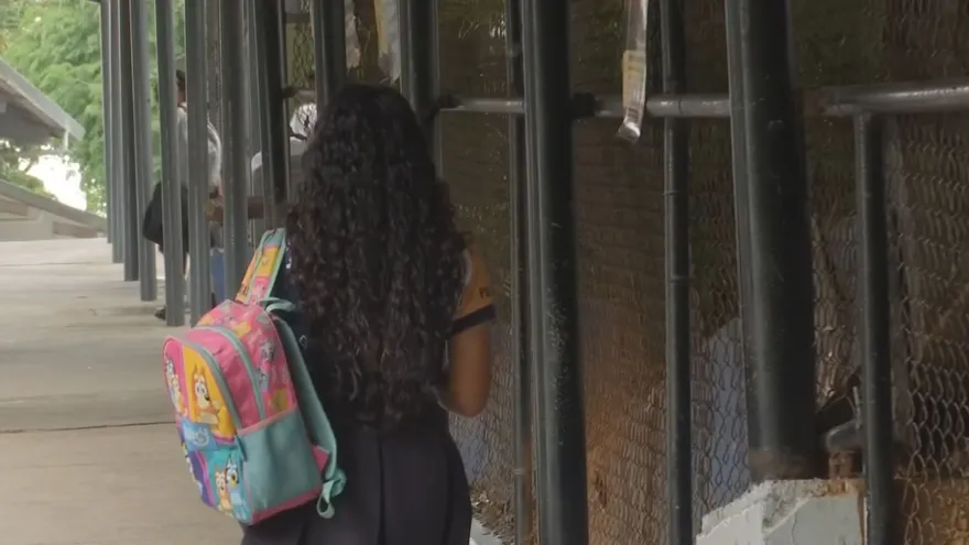 Estudiante del Naudeau fue víctima de asalto