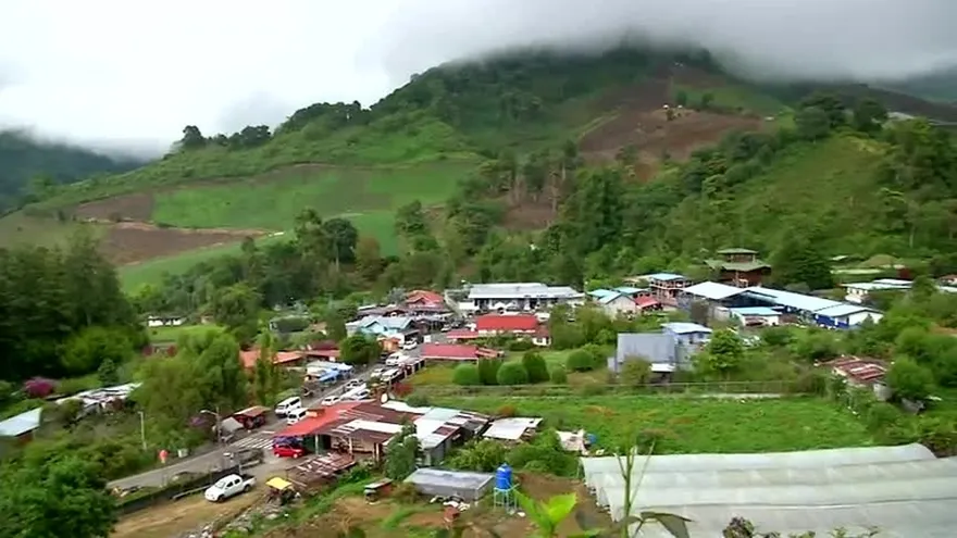 Importación de legumbres afectan al productor nacional