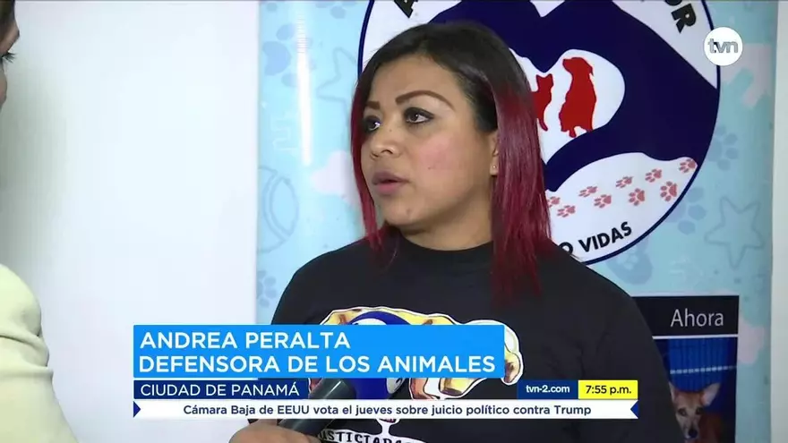 Reportan múltiples casos de maltrato animal en la ciudad de Panamá