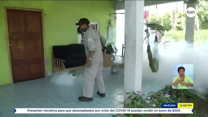 En Chiriquí piden no bajar la guardia contra el mosquito Aedes aegypti