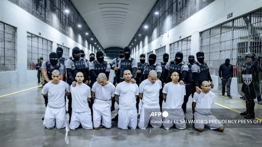 Esta fotografía, publicada el 31 de marzo de 2025 por la oficina de prensa de la Presidencia de El Salvador, muestra a presuntos miembros de la organización criminal venezolana Tren de Aragua y de la pandilla salvadoreña MS-13 siendo sometidos a su llegada al Centro de Confinamiento del Terrorismo (CECOT) en la ciudad de Tecoluca, El Salvador. Un pequeño grupo de abogados, sobrecargados y superados en recursos, lucha por los derechos de los deportados estadounidenses recluidos en una conocida cárcel salvadoreña: una batalla de David contra Goliat que podría terminar en tribunales internacionales.