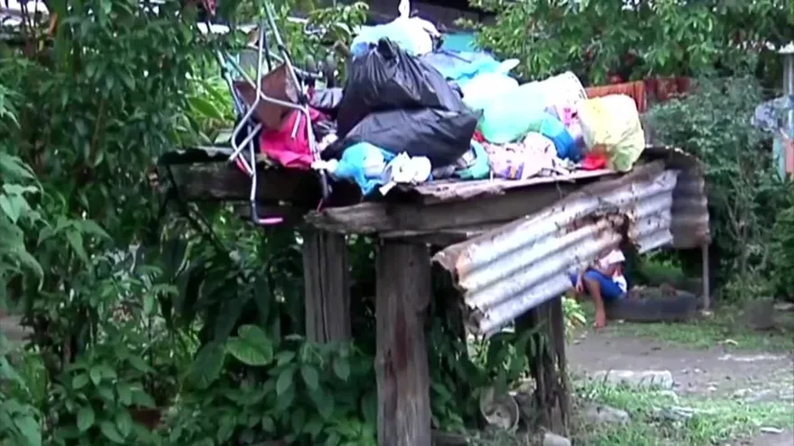 Aumentan casos de dengue en Bocas del Toro