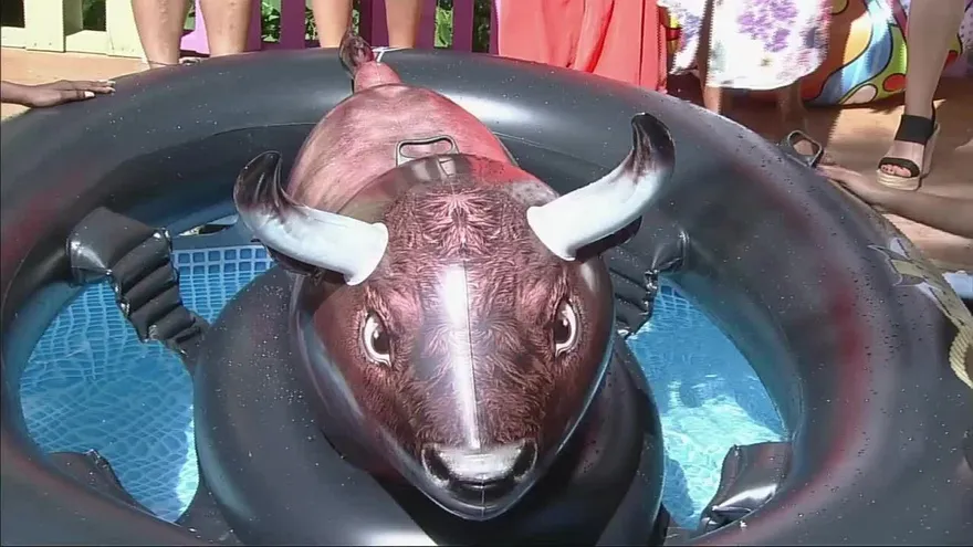 Esta fue la travesía del Toro Loco en el estudio