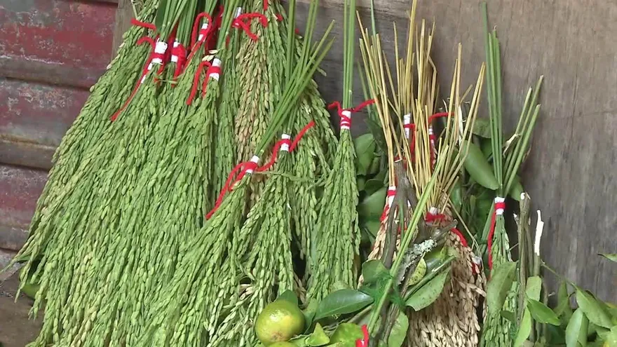 Indígenas solicitan que se mantenga la medicina tradicional