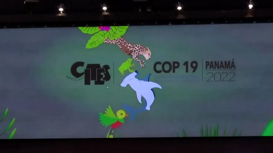 Se inicia en Panamá Convención de las Partes sobre biodiversidad silvestre