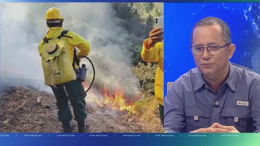 Autoridades alertan sobre alto costo ambiental y económico de incendios forestales