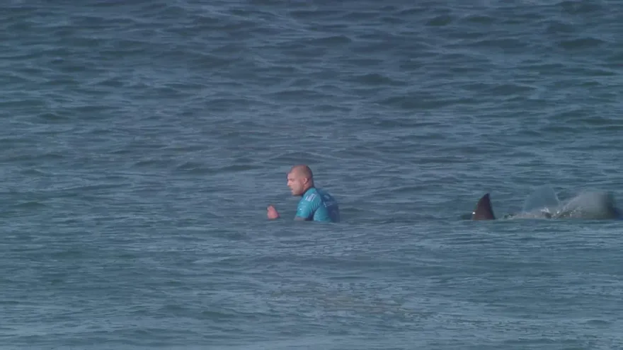 Tiburón ataca a campeón de surf en Sudáfrica
