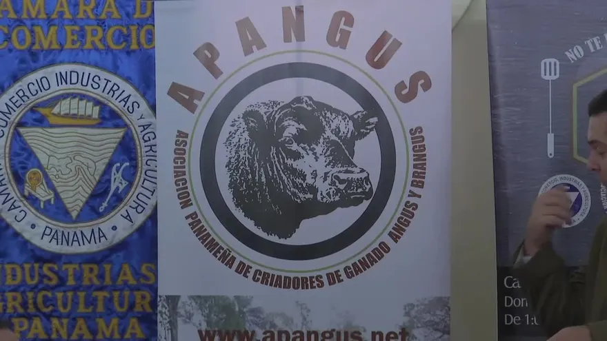 Festival Angus en el Parque Omar