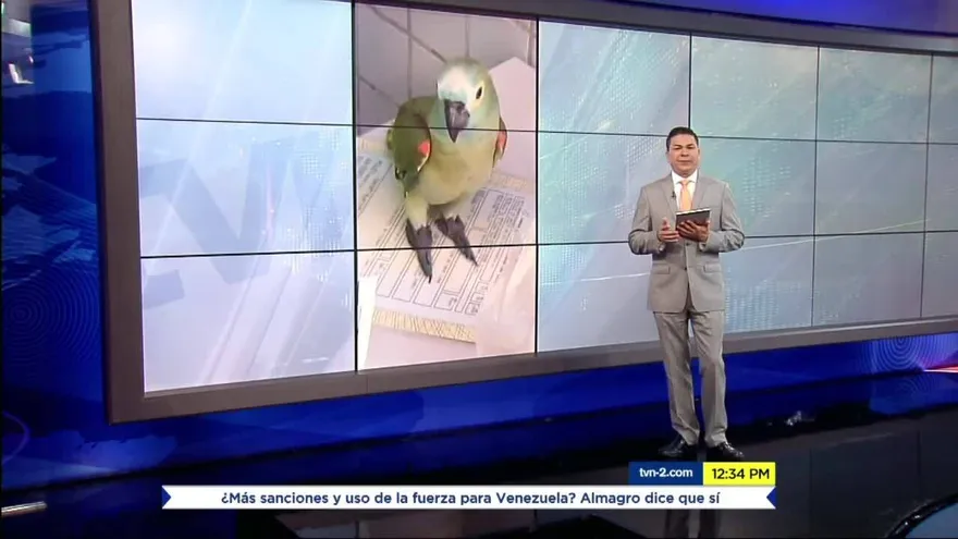 NOTICIERO MD 26 DE ABRIL BLOQUE 2