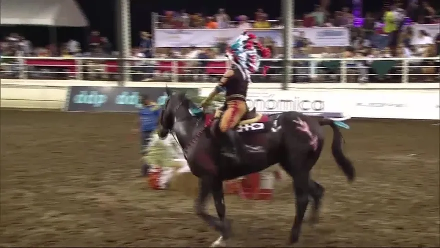 Equitación 31 de octubre de 2015 - Bloque 4