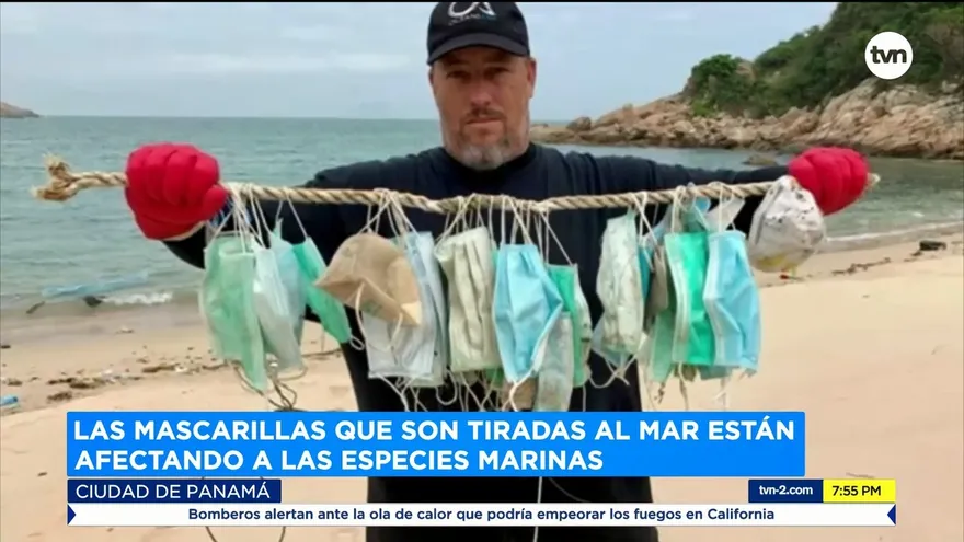 Efectos de las mascarillas desechadas al mar