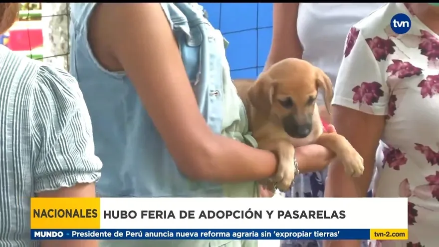 Celebración del Día Mundial de los Animales