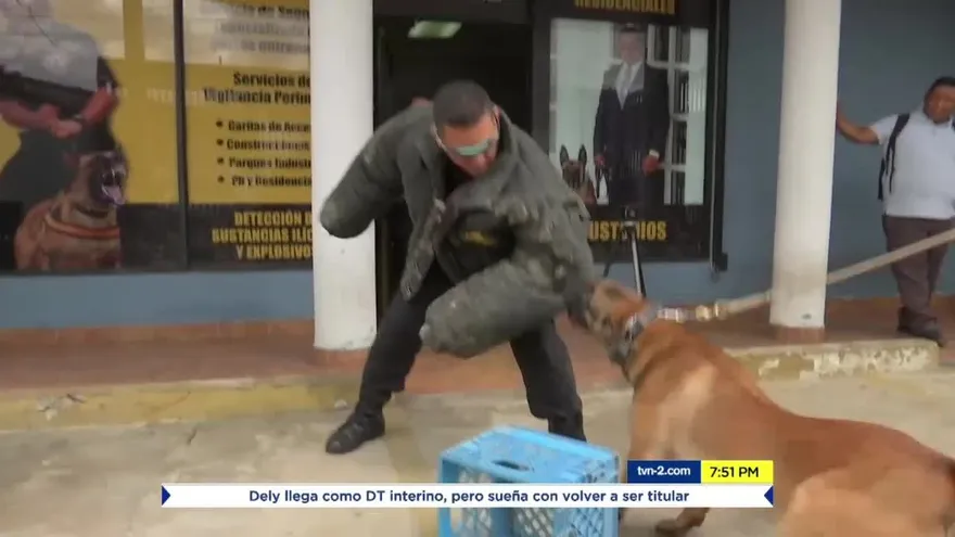 Siguen las reacciones al anteproyecto de ley 281