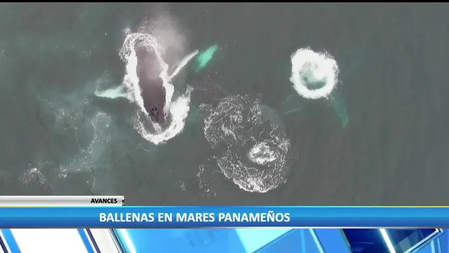 Noticiero Estelar del 1 de agosto de 2017 Bloque 3