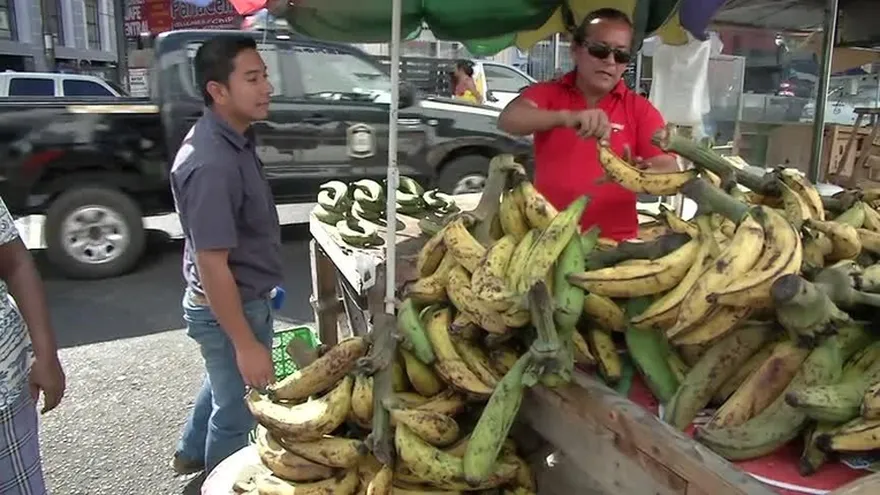 Aumenta precio de los plátanos