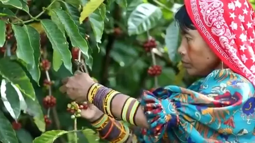 Desigualdad entre hombres y mujeres en sistemas agroalimentarios