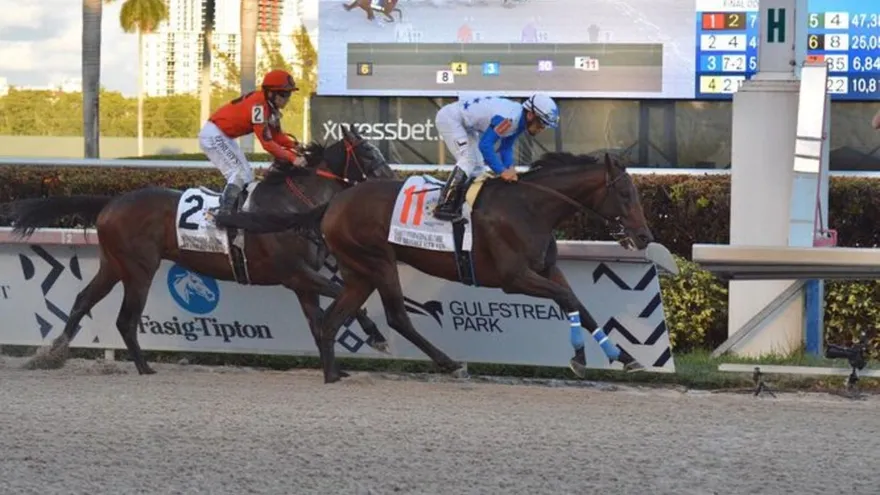 Covid-19 obliga a suspender la Serie Hípica del Caribe 2020