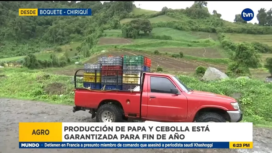 Producción de papa y cebolla se ha normalizado en Chiriquí
