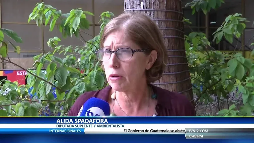 Surgen críticas por decisión de vetar parcialmente ley de bolsas plásticas