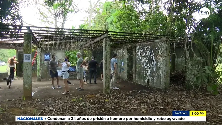 Artistas presentan exposición al aire libre en Gamboa