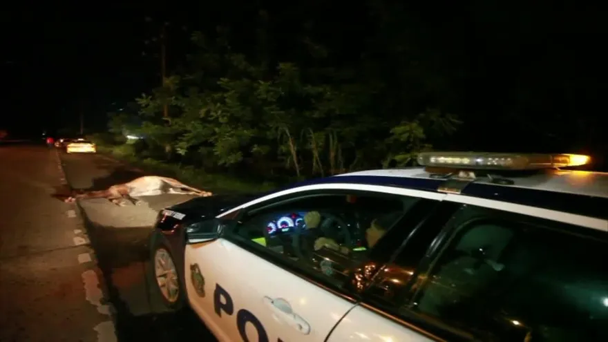 Taxi colisiona con un caballo y deja un herido en Pacora