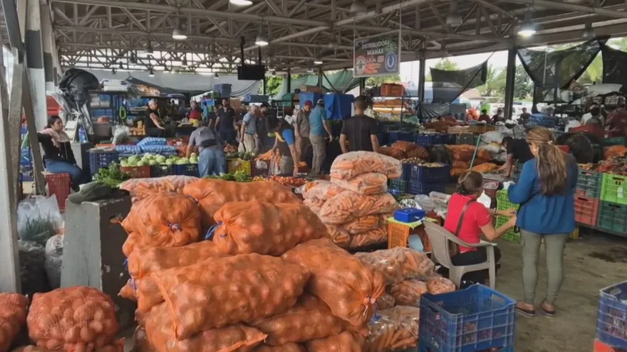 Productores de Tierras Altas descartan alza en precios