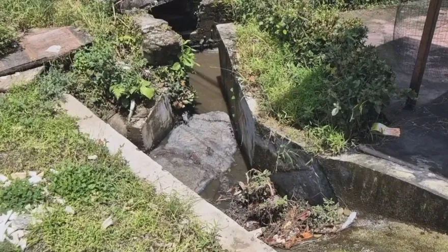 Vecinos de Ivu Dos Pinos denuncian colapso del sistema de aguas residuales en David.