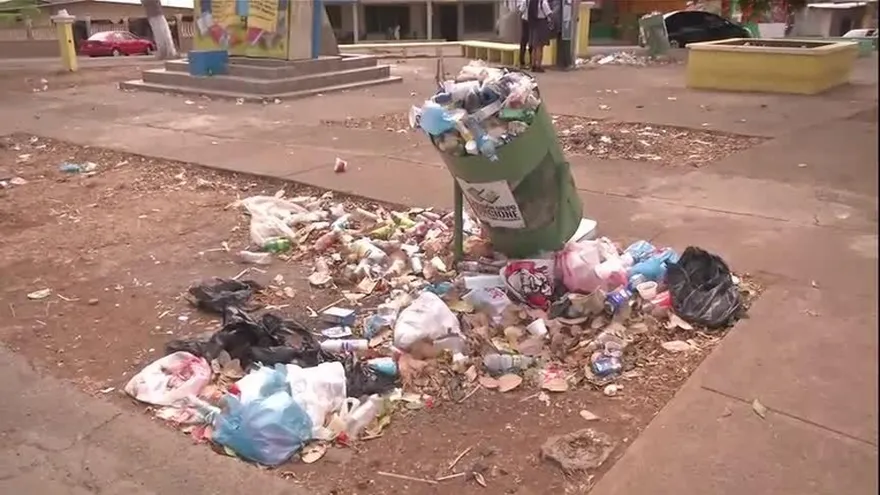 Alarma por casos de zika en embarazadas
