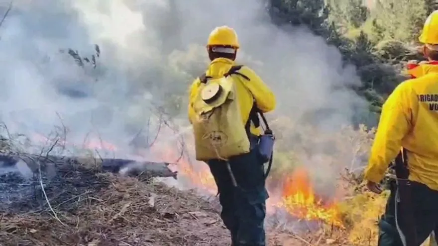 Ministro de Ambiente confirma control de uno de los frentes del incendio en la Reserva Forestal La Yeguada.