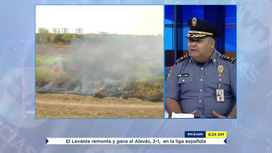 Se han registrado miles de incendios forestales en el país