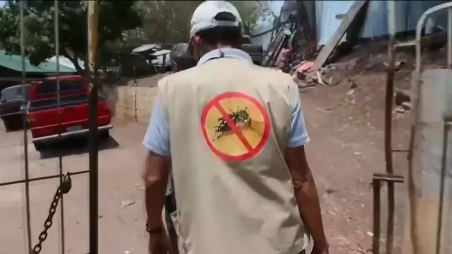 ¿Debe Panamá tener una vacuna contra el dengue?