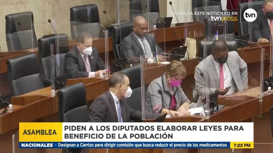 Críticas al papel que desempeñan muchas veces diputados