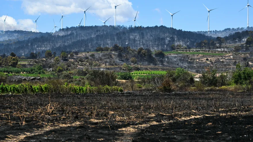 Los incendios queman bosques en Europa atizados por el calor extremo