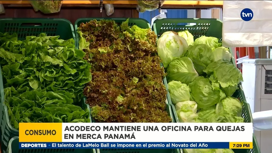 Consumidores se quejan de los altos precios de la canasta básica