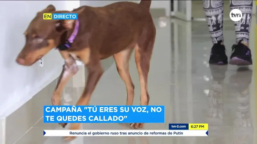 Policía Nacional inicio campaña “Tu eres voz, no te quedes callado”