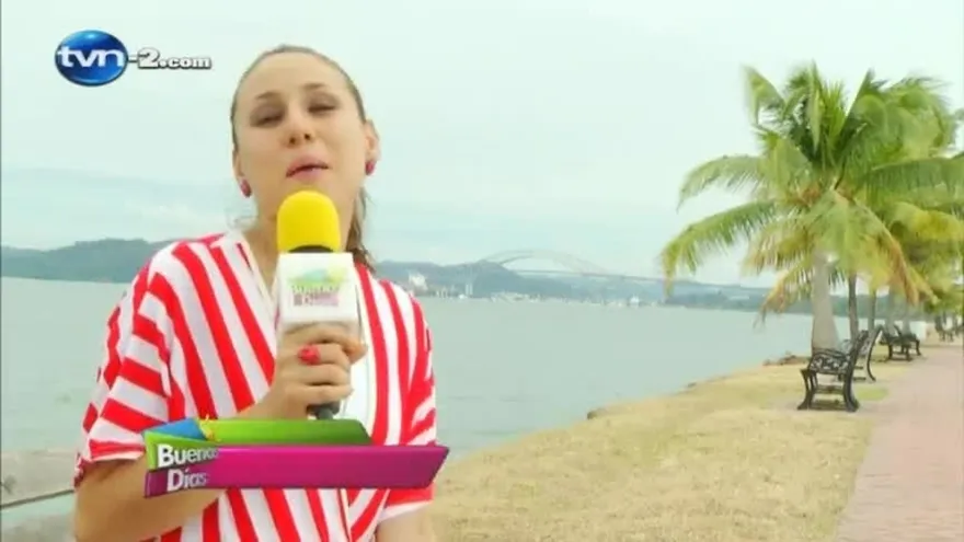 Uso Correcto de los símbolos Patrios