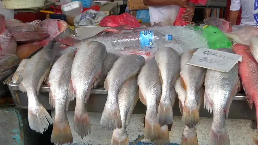 Aumentan ventas de mariscos por Semana Santa