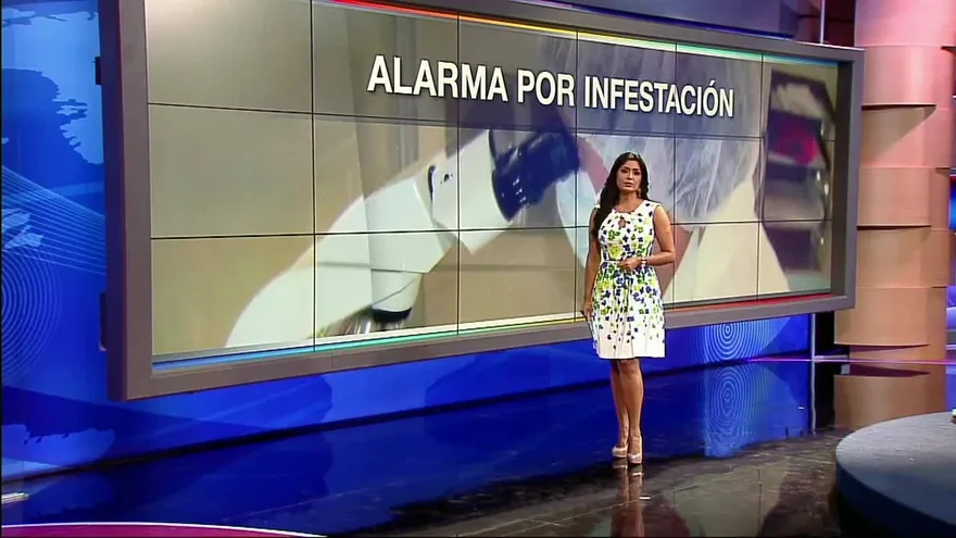 Noticiero Estelar 15 de junio del 2017 - Bloque 4