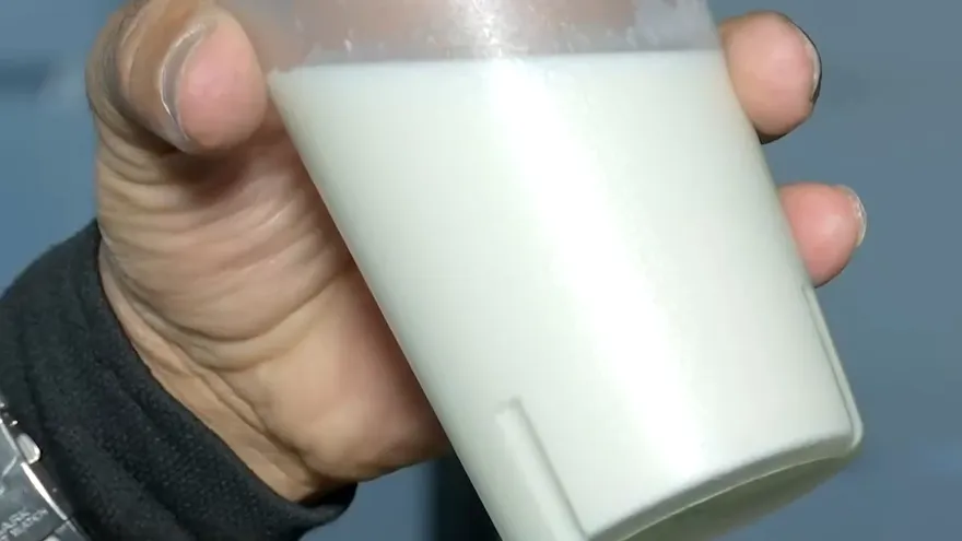 Productores advierten disminución en la producción de leche