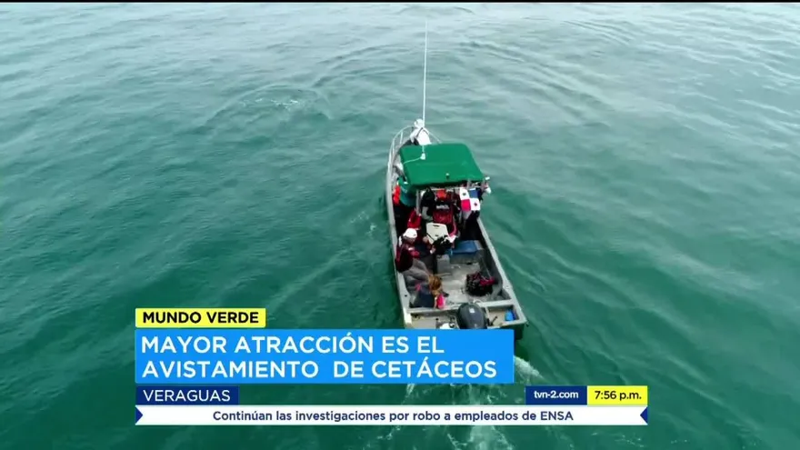 Golfo de Montijo, tesoro del Pacífico panameño