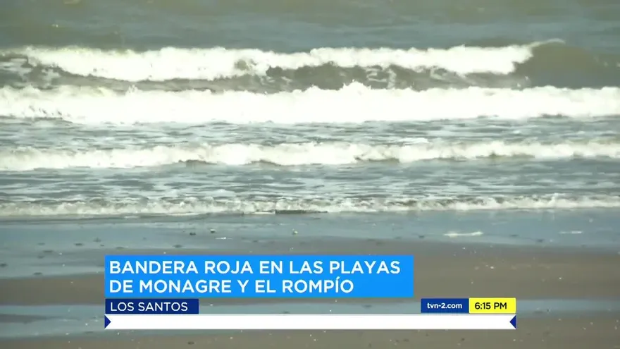 Serpientes marinas aparecen en playas de Los Santos