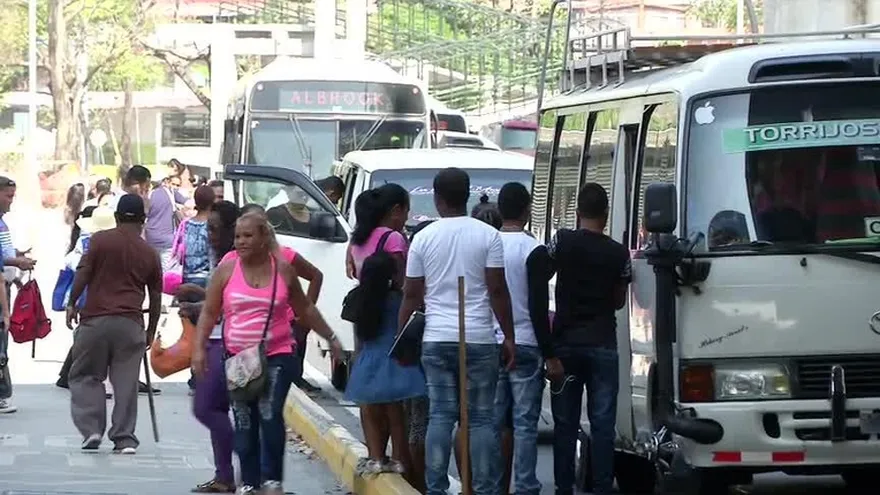 800 busitos piratas existen en la ciudad capital