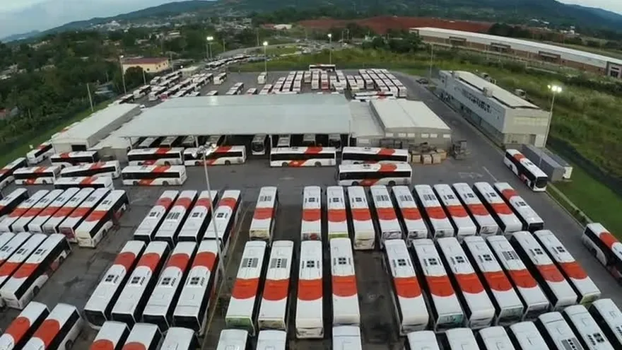 Pérdidas de empresa Mi Bus por vandalismo