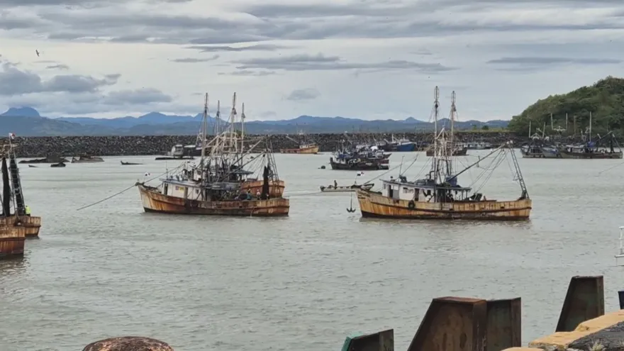 Un total de 72 embarcaciones zarparán desde el puerto de Vacamonte, en Arraiján, provincia de Panamá Oeste, con el inicio de la temporada de pesca de camarón.